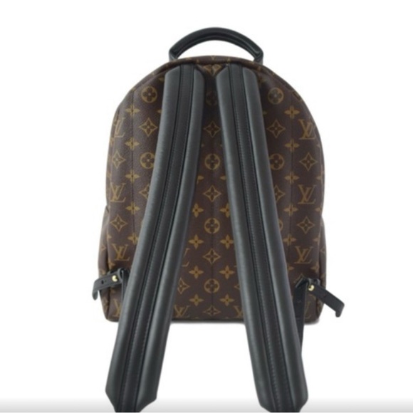 Louis Vuitton 
Monogram Palm Springs Backpack PM - Picture 4 of 15
